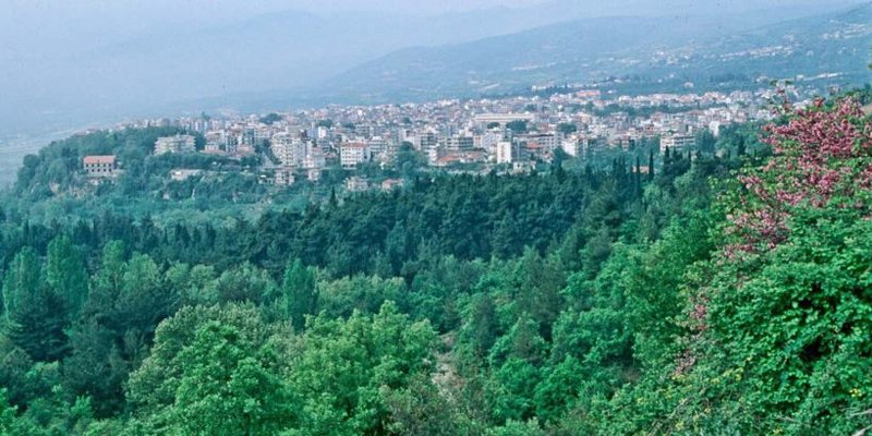 Daily trips to Edessa by Cosmos Travel Taxi Services VII